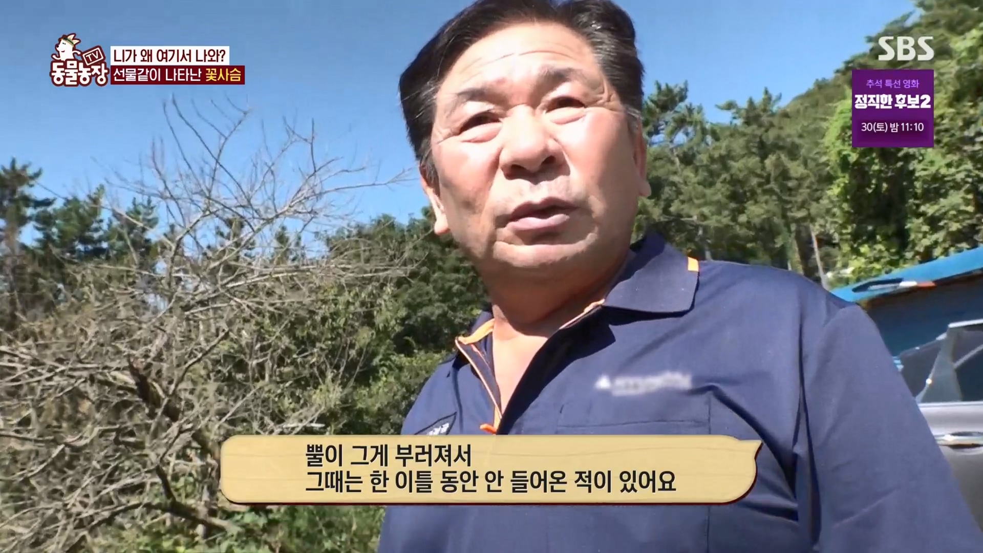 TV 동물농장.E1139.230924p.H264-F1RST.mp4_20230924_171719.906.jpg