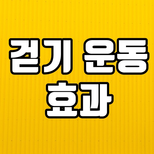  걷기 운동 효과 알아보기