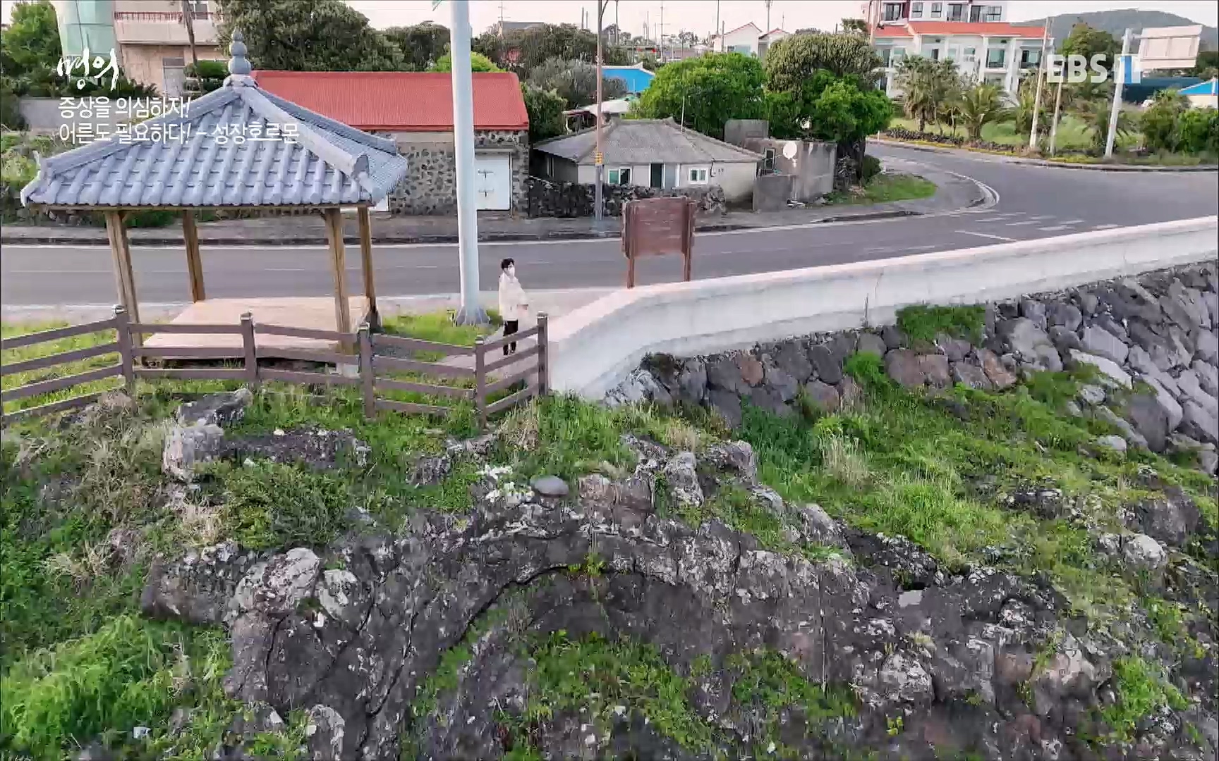 EBS 명의 헬스케어 - TV - 교육의 중심 EBS내 몸을 지배하는 7가지 호르몬 2부, 증상을 의심하자!.mp4_20220711_200203.728.jpg