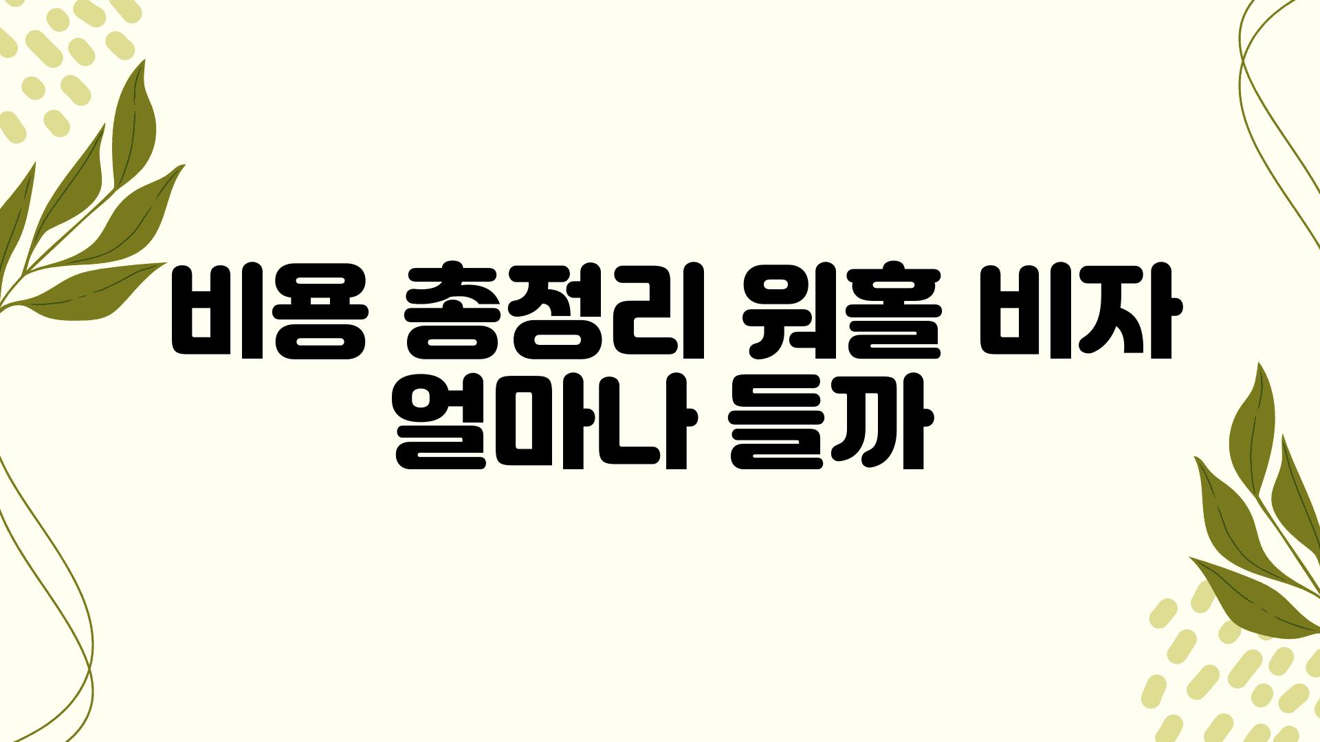  비용 총정리 워홀 비자 얼마나 들까