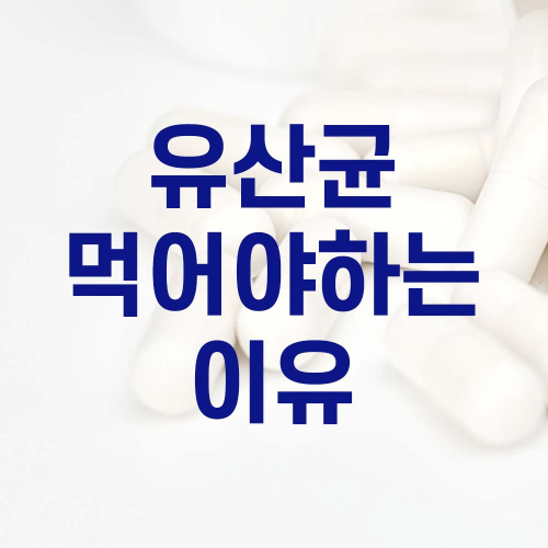  '유산균' 꼭 먹어야하는 이유 4가지