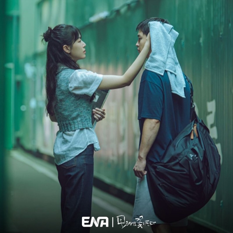 모래에도 꽃이 핀다 등장인물 출연진 인물관계도 기본정보