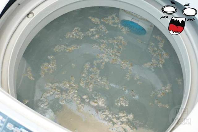 봄맞이 대청소 통돌이 세탁기 세탁조 통세척 하는 방법 찌꺼기 이물질