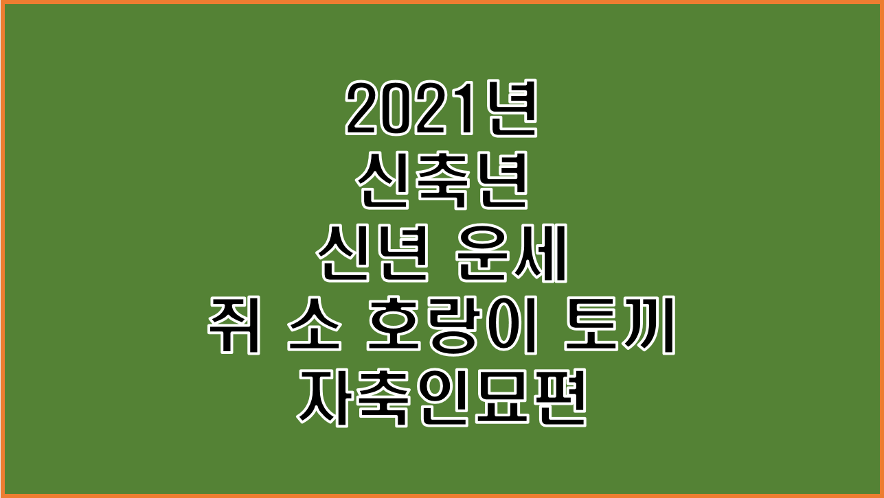  2021년 신축년 신년 운세 사주 쥐 소 호랑이 토끼 띠 자축인묘편
