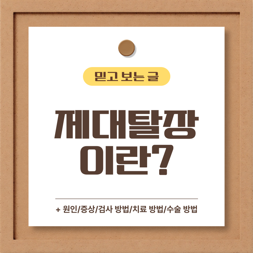 제대 탈장 이란?