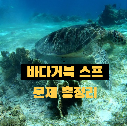  바다거북스프 문제 총정리