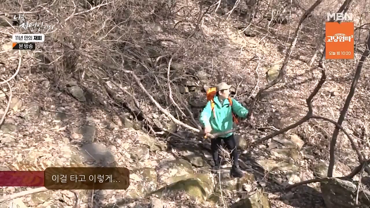 나는 자연인이다.E548.230406p-NEXT.mp4_20230406_195738.698.jpg