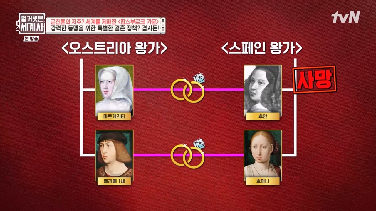 벌거벗은 세계사.E108.230719p-NEXT.mp4_20240211_140944.044.jpg