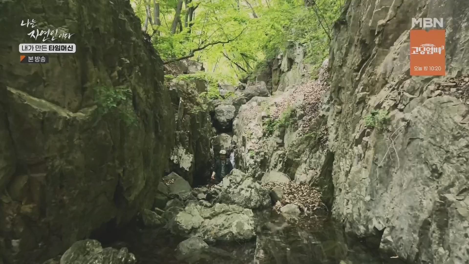 나는 자연인이다.E555.230524p.H264-F1RST.mp4_20230526_212800.773.jpg
