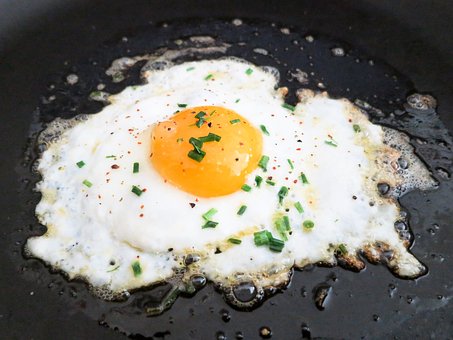 단백질을 포함한 음식