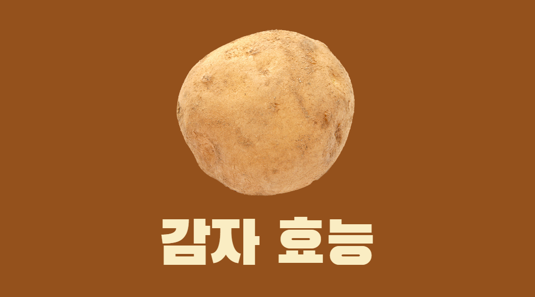  나만 모르는 감자 효능