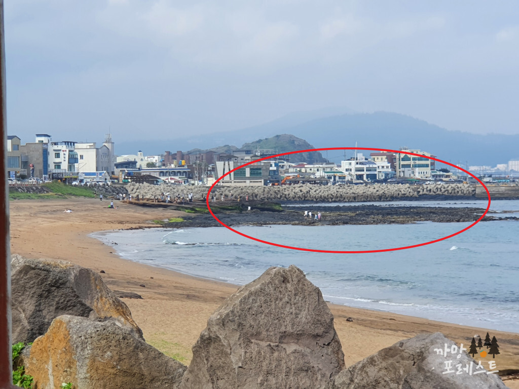 사계 해변