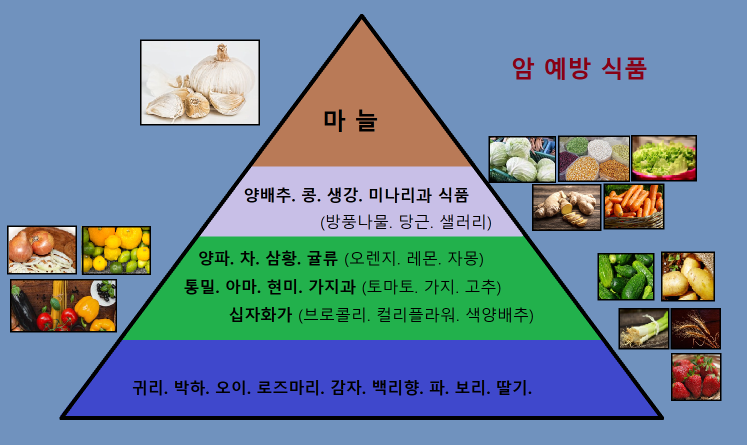  암을 예방하는 식품. 암을 예방하는 음식. 암 예방 식생활 가이드.