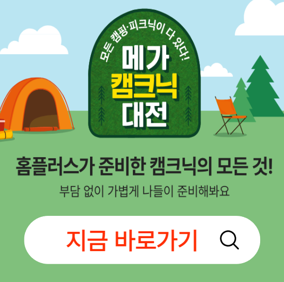 메가캠크닉대전
