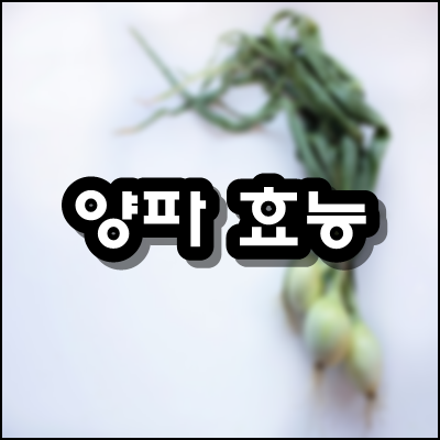  양파 효능 8가지