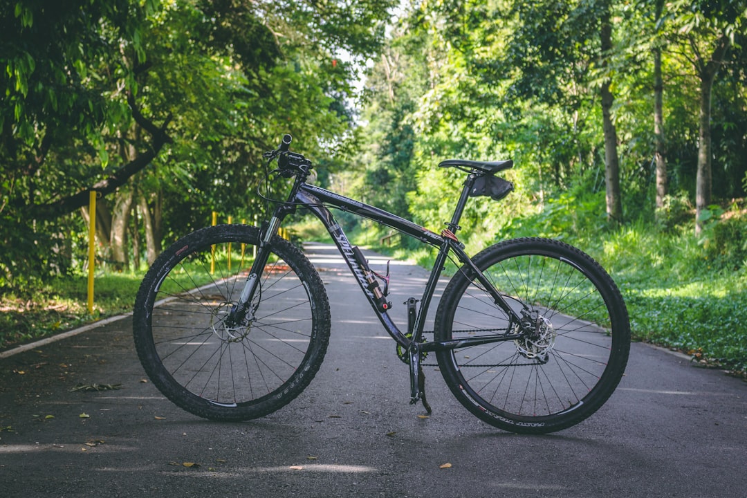 Cycle