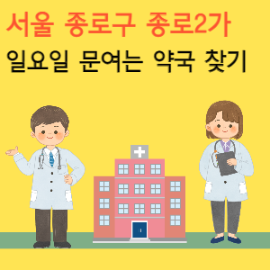 서울 종로구 종로2가 일요일 문여는 당번 약국