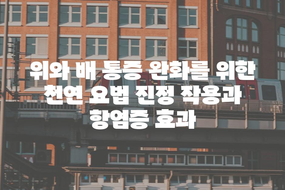 위와 배 통증 완화를 위한 천연 요법 진정 작용과 항염증 효과