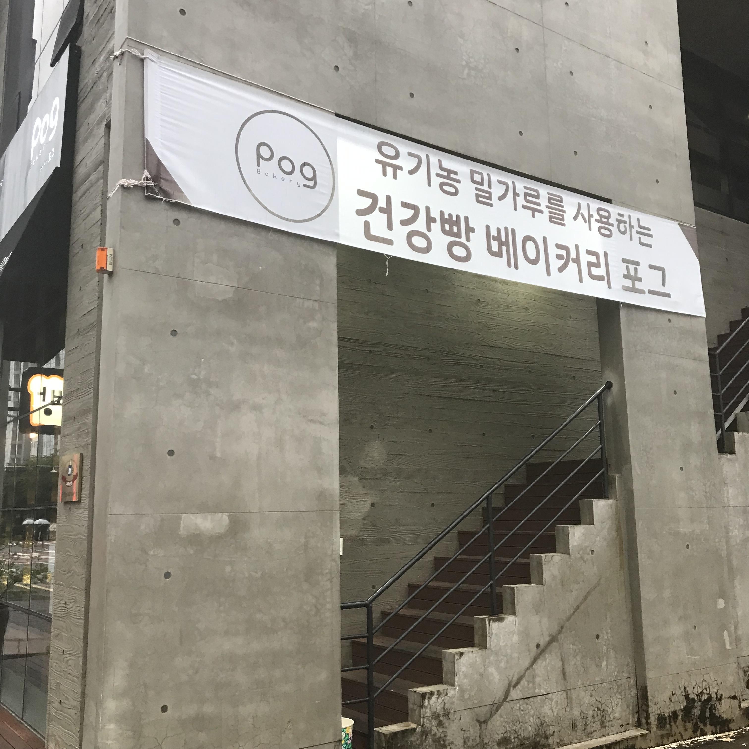 포그(pog) 이미지