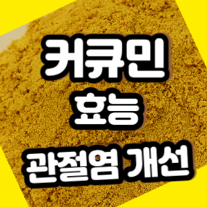 커큐민 효능