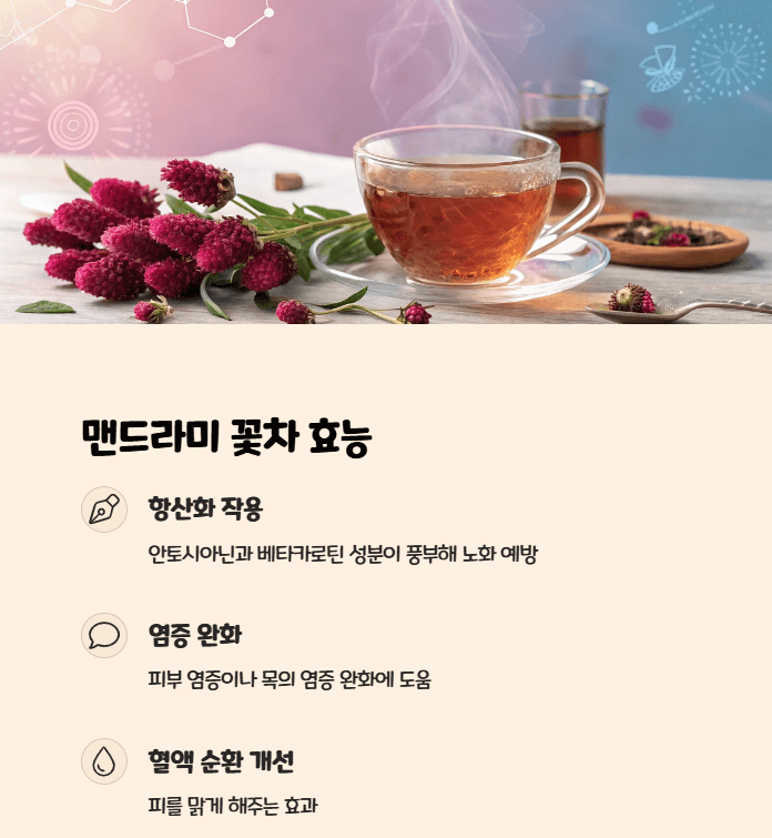 맨드라미 꽃차 효능