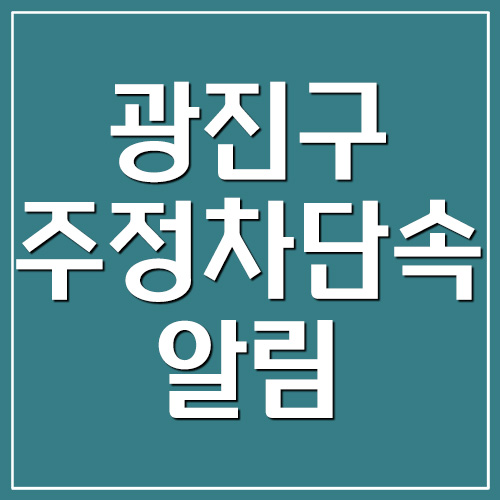 광진구 주정차단속