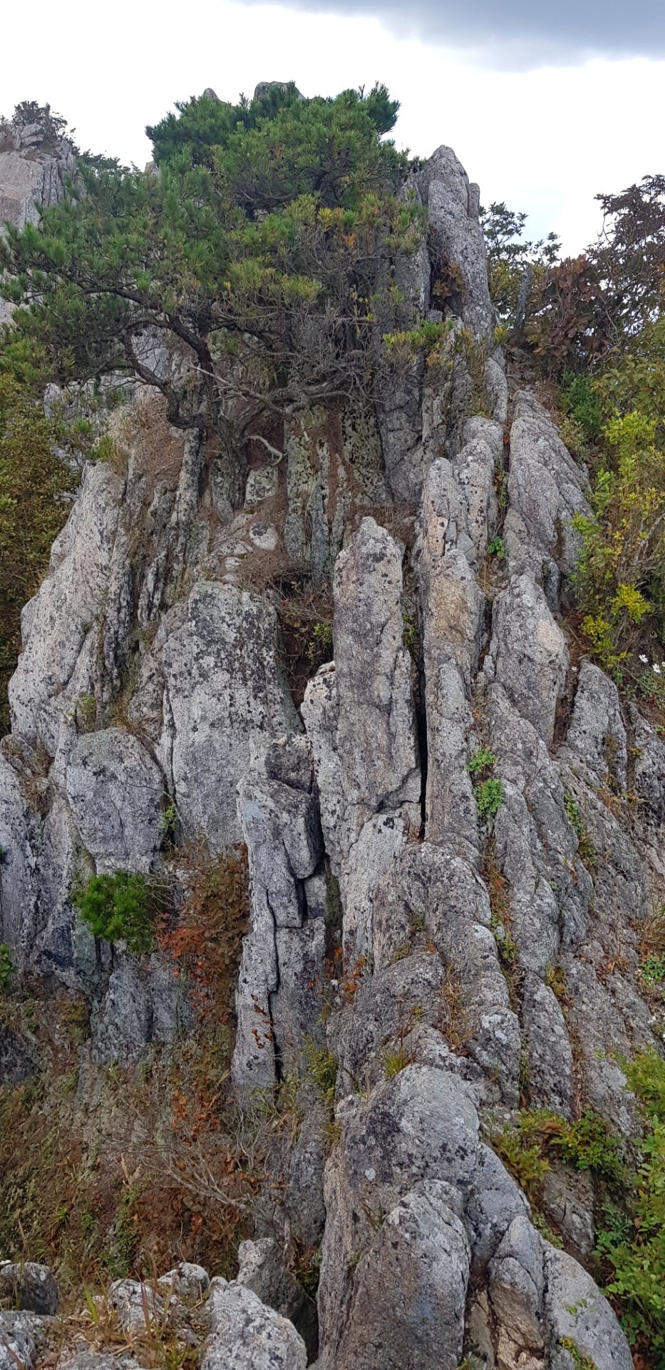 대구 영천 팔공산