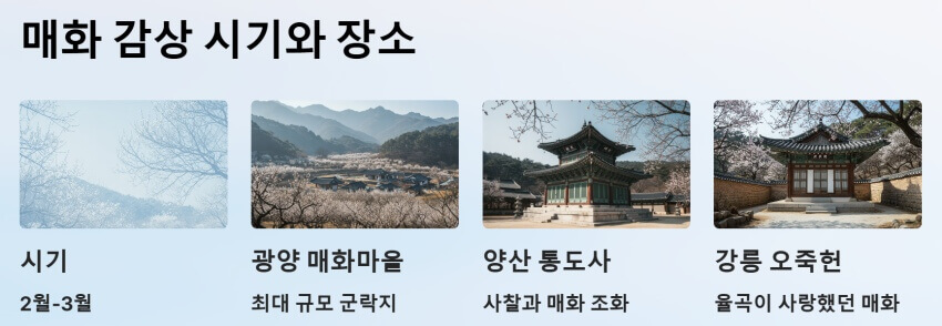 매화 감상 시기와 장소 ppt 이미지