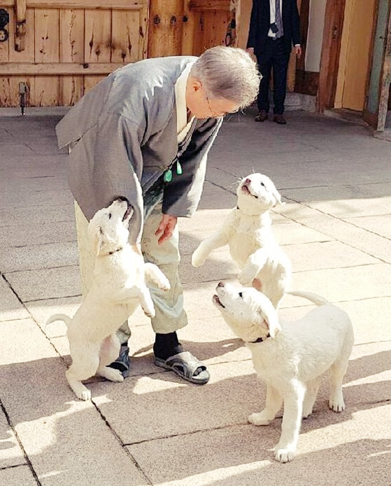 문재인-반기는-풍산개