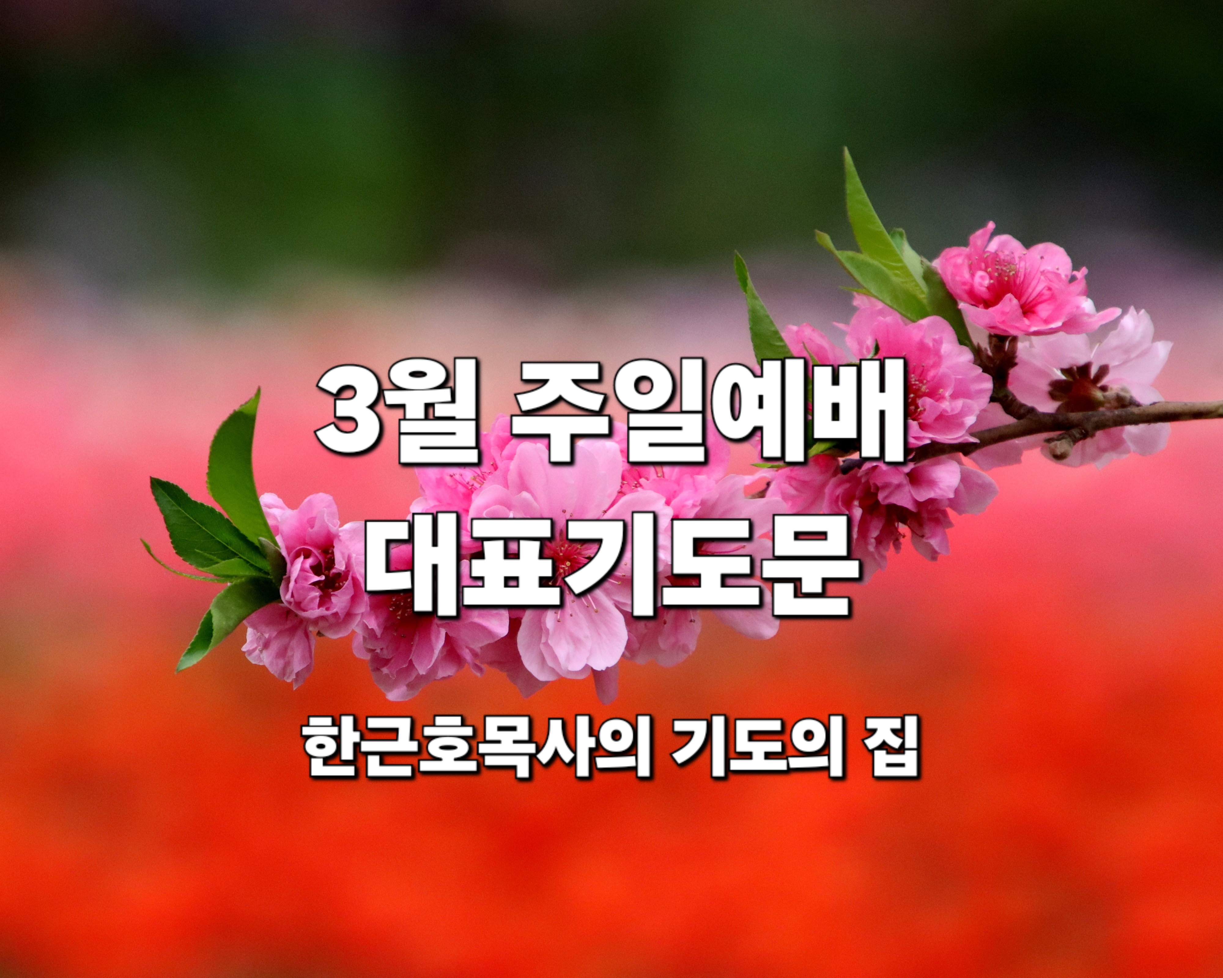  3월 주일예배 대표 기도문