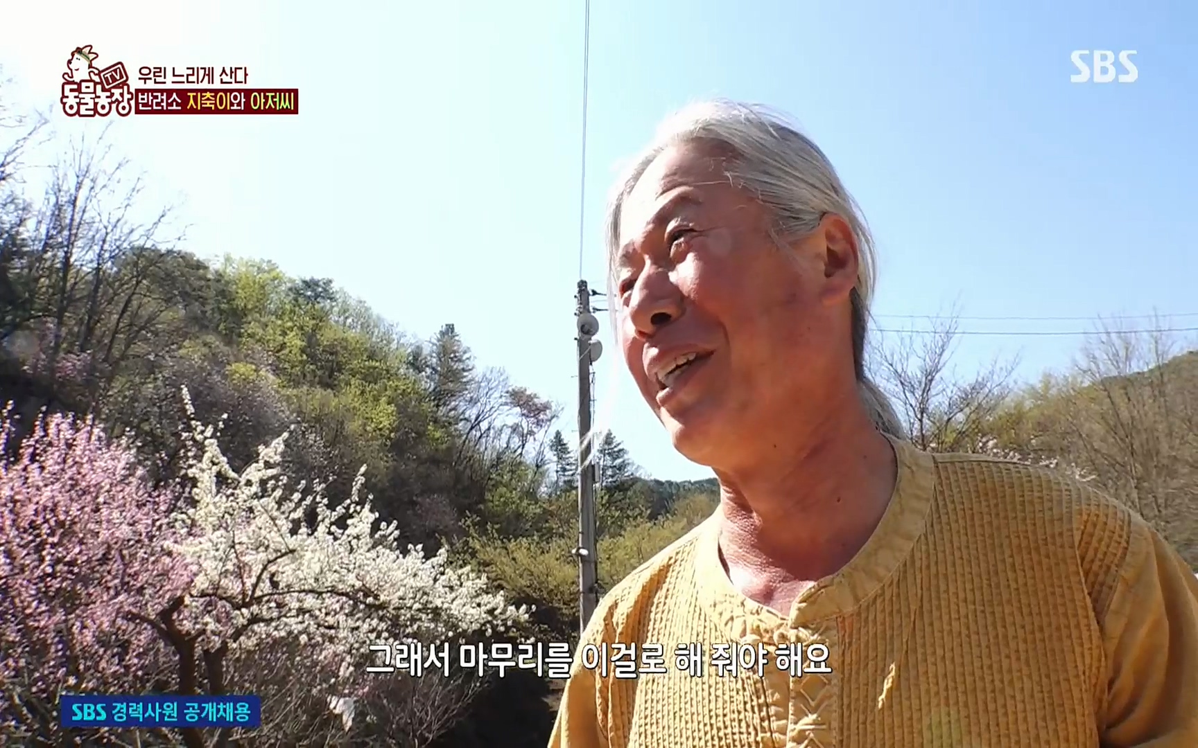 TV 동물농장.E1074.220619p.H264-F1RST.mp4_20220619_181203.091.jpg