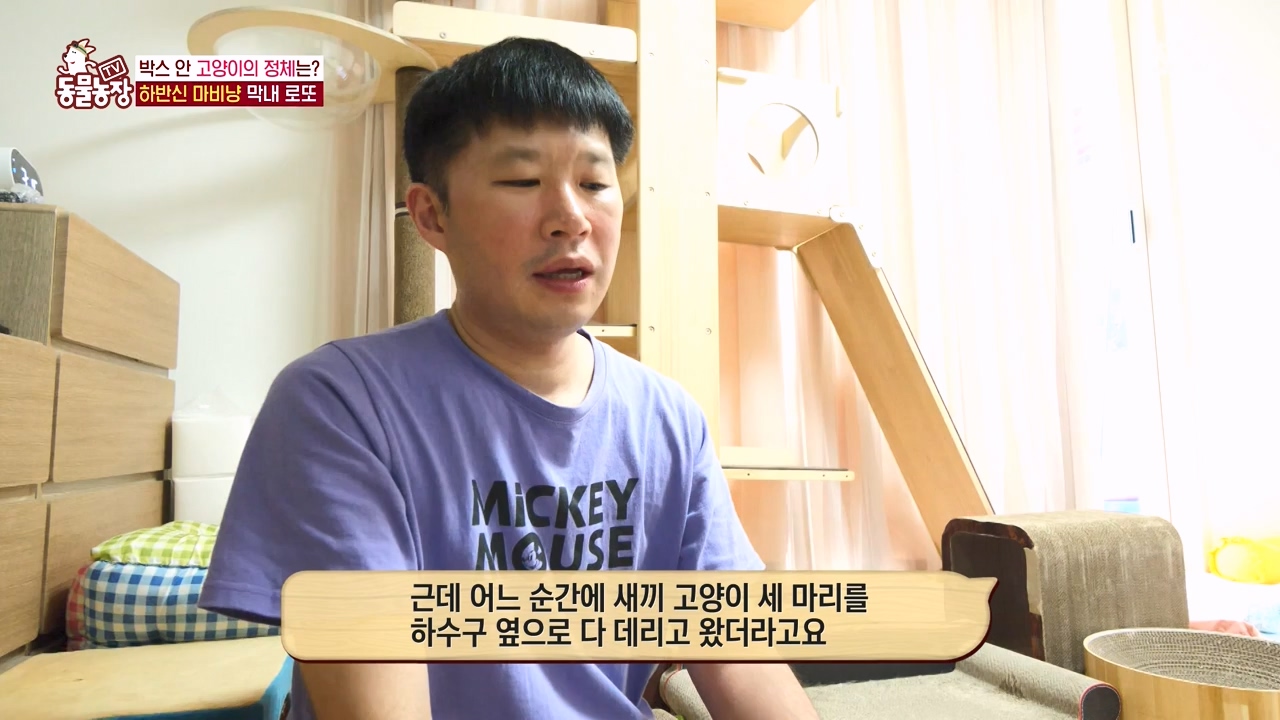 TV 동물농장.E1134.230821p-NEXT.mp4_20230820_193349.566.jpg