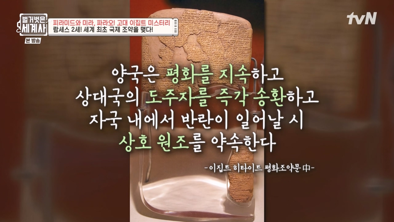 벌거벗은 세계사.E91.230322p-NEXT.mp4_20230422_181929.558.jpg