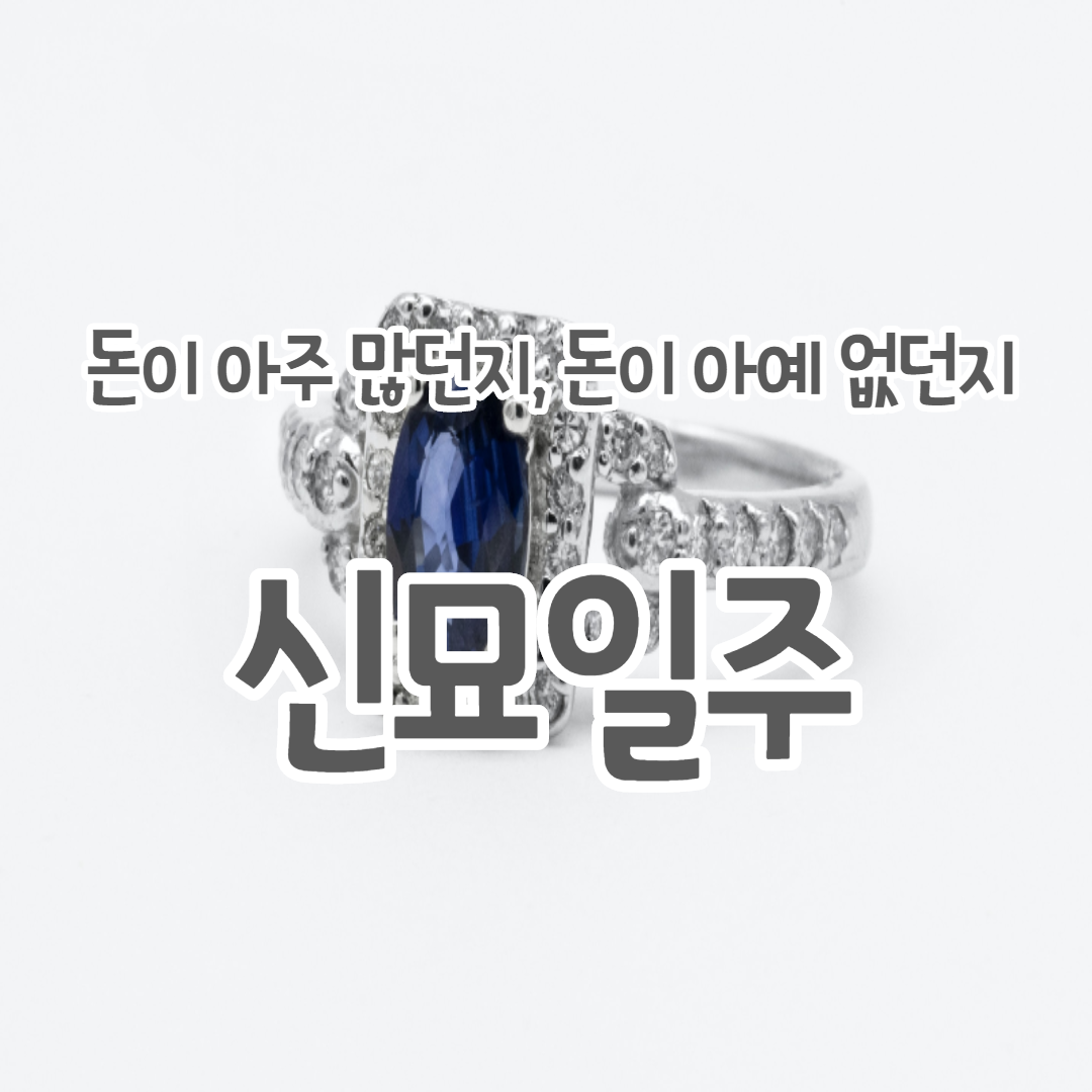  28. 돈이 아주 많던지 돈이 아예 없던지, 신묘일주