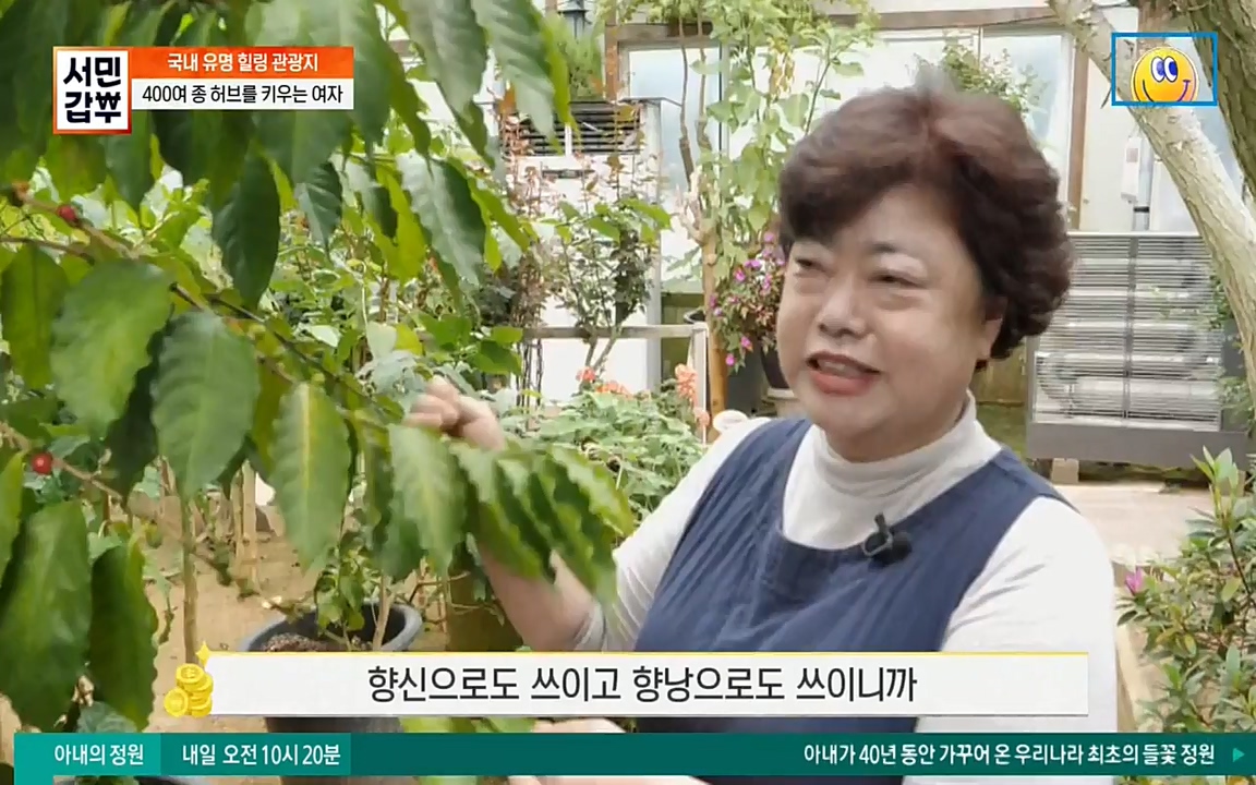 서민 갑부.E380.220424p-NEXT.mp4_20220424_184335.430.jpg