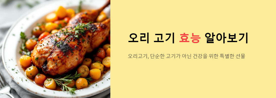 오리고기 효능