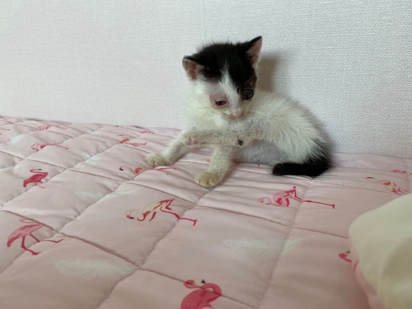 이제부터 오레오