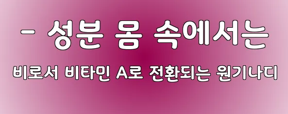  - 성분 몸 속에서는 비로서 비타민 A로 전환되는 원기나디