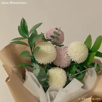 예쁜 꽃말 추천 모음 이해할수록 매력적인 꽃들의 꽃말 안내 모음_22