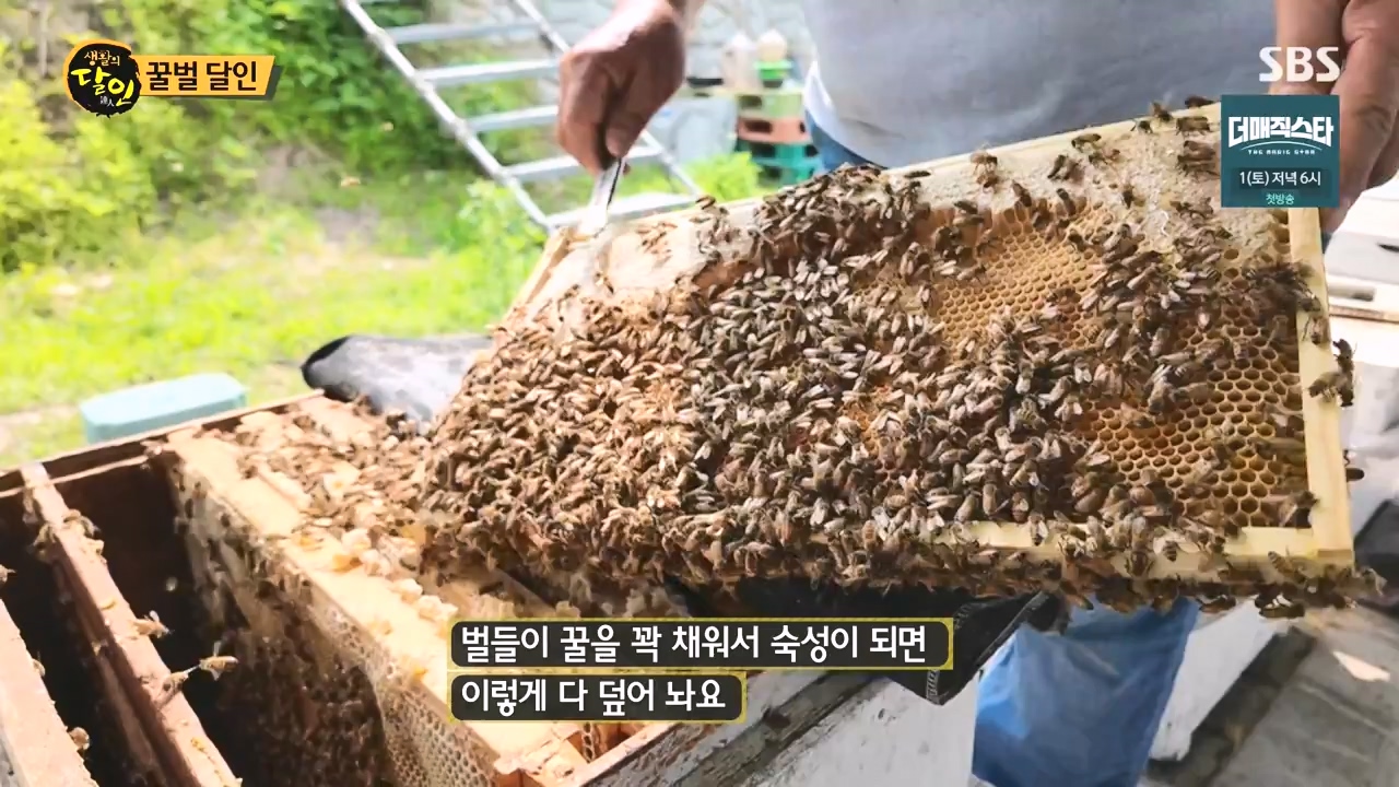생활의 달인.E937.240528p-NEXT.mp4_20240528_195600.256.jpg