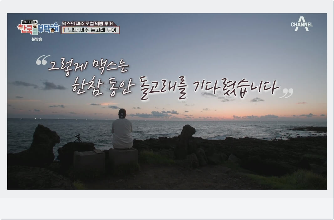 돌고래 투어
