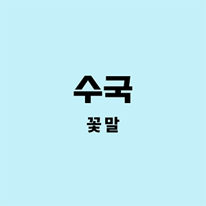 수국