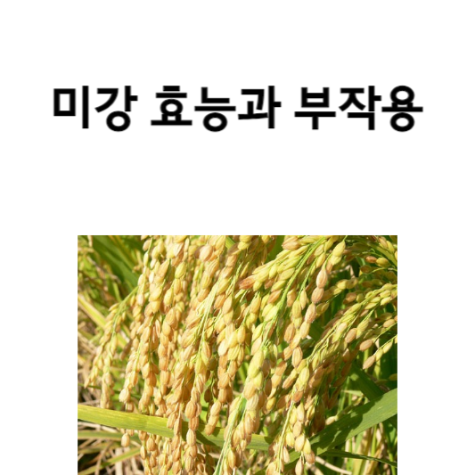 미강 효능과 부작용