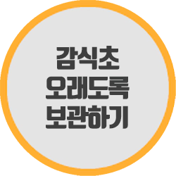  감식초 오래도록 신선하게 보관하는 방법
