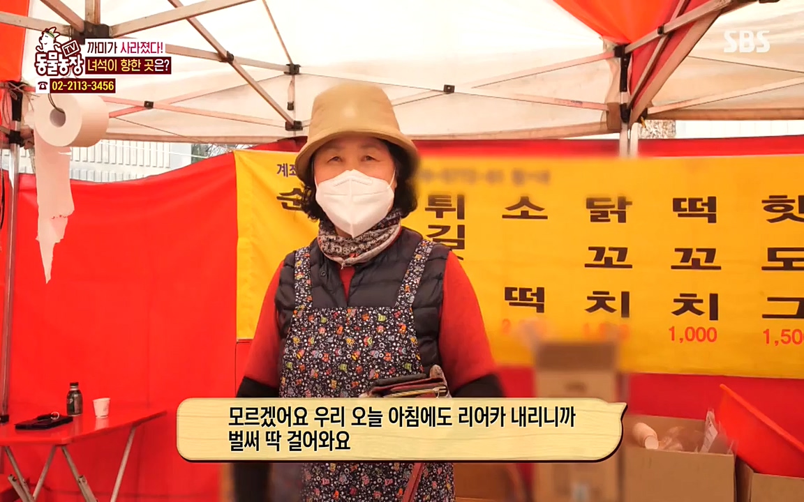 TV 동물농장.E1065.220418p-NEXT.mp4_20220417_181259.837.jpg