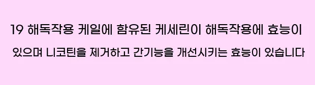  19 해독작용 케일에 함유된 케세린이 해독작용에 효능이 있으며 니코틴을 제거하고 간기능을 개선시키는 효능이 있습니다