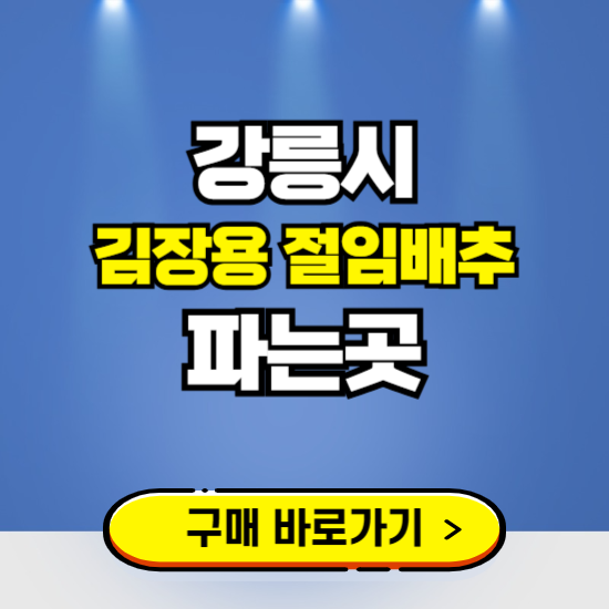 강릉시 절임배추 사전예약 구입하는곳 ❘ 김장배추 파는곳 가격보기