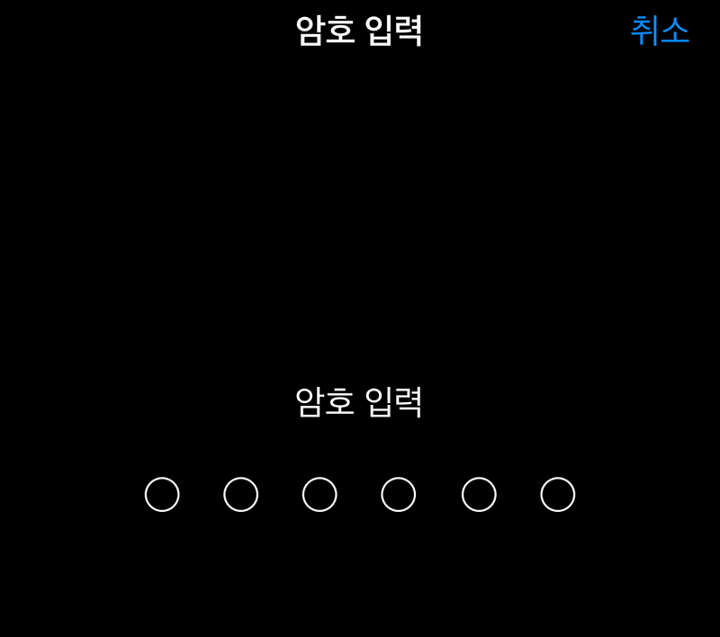 아이폰_암호