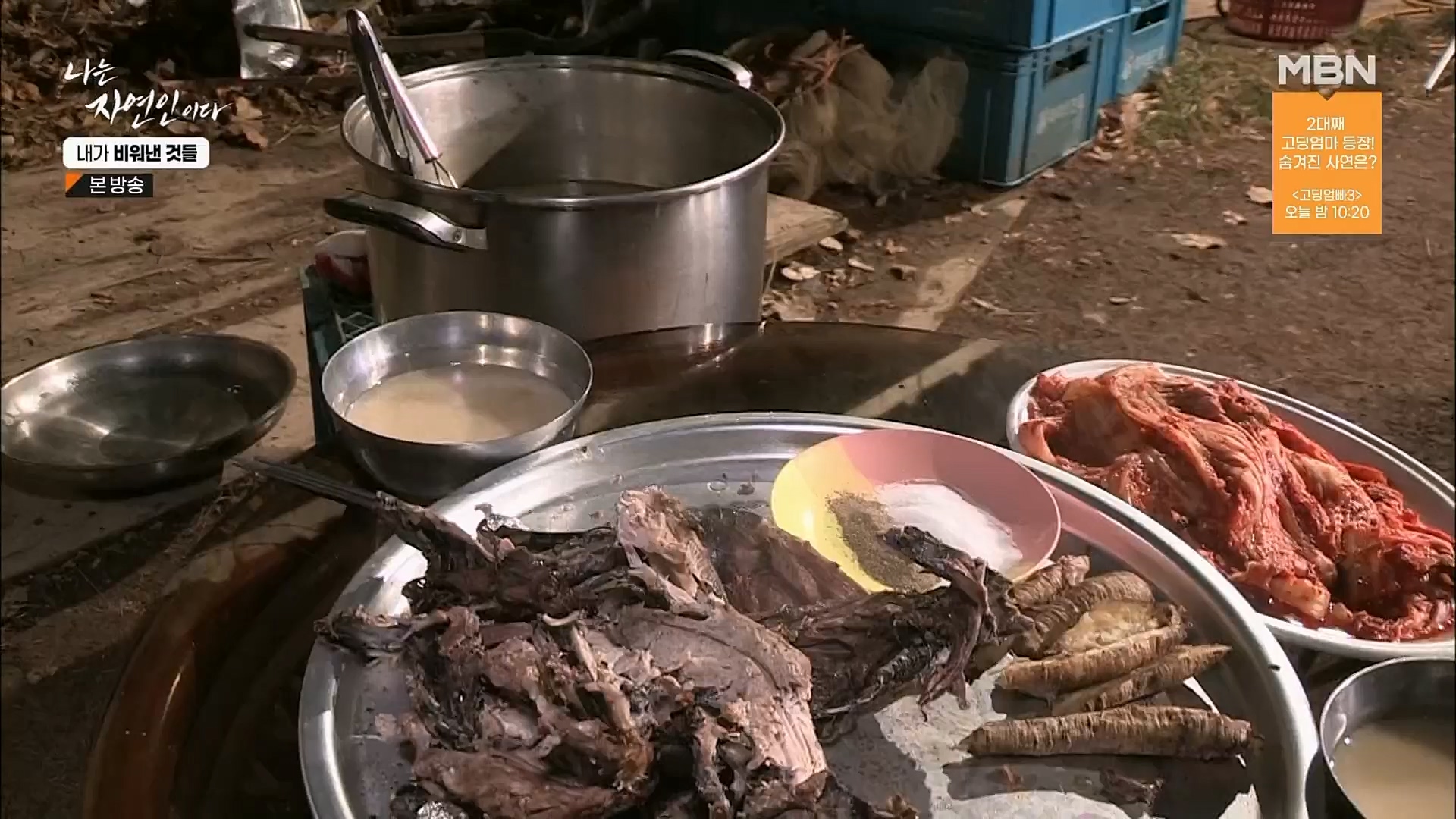 나는 자연인이다.E543.230301p.H264-F1RST.mp4_20230302_192652.572.jpg