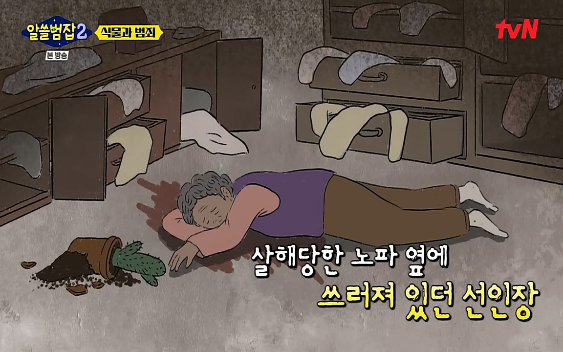 알쓸범잡 2.E15.220425p-NEXT.mp4_20220425_174818.435.jpg